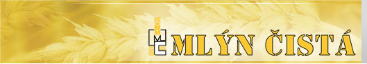 Primary Raster logo
